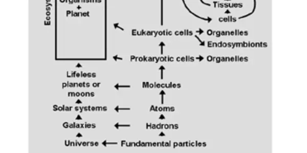 Operator Hierarchy - Next Step In Evolution A Technical Life Form That Passes On Knowledge And Experience?