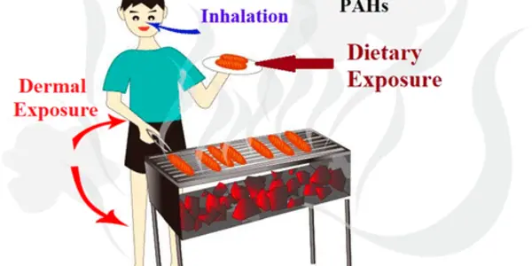 Polycyclic Aromatic Hydrocarbons - Chinese Epidemiologists Declare Your Barbecue Will Kill You