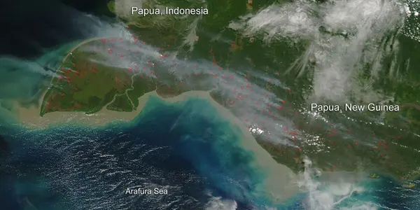 Asian Peat Fire Impact On Climate Change