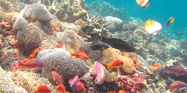 Bali Travel Report