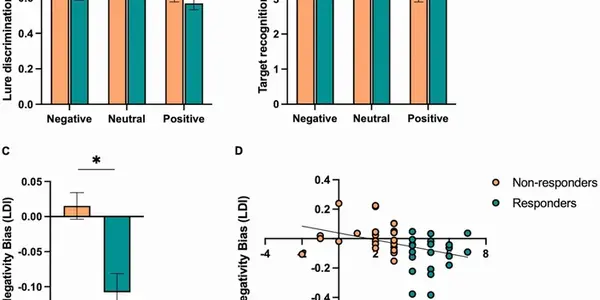Antidepressants May Also Improve Memory