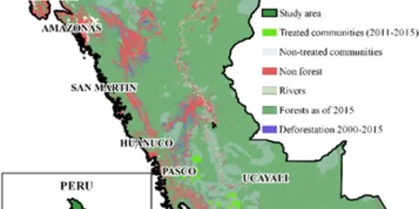Europeans Keep Telling Peru To Preserve The Rainforest The Way Europe Wants But Nevertheless Peru Persisted