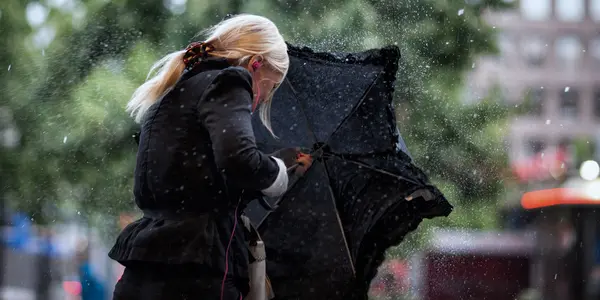 Petrichor: How The Term For The Smell Of Rain Came To Be