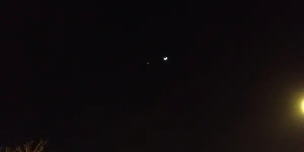 An Ode To Venus