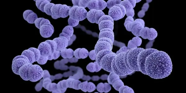 New Vaccine For 21 Strains Of Pneumococcal Disease
