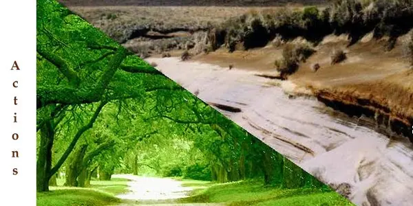 The Pragma Hypothesis