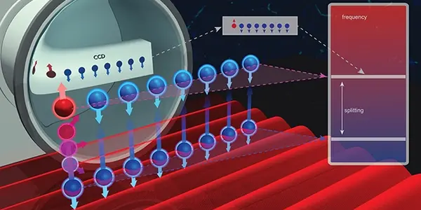 MRI For A Quantum Simulation
