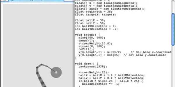 The joy of programming and simulations