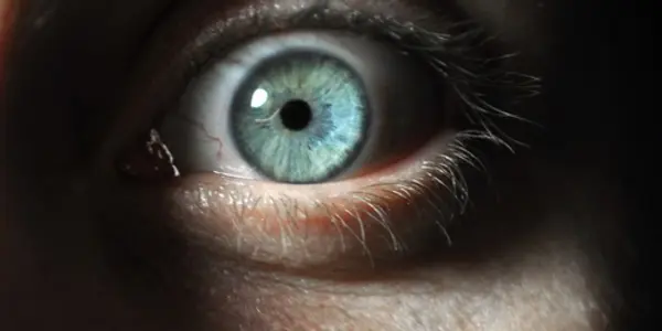 Psychopaths And Sadists: Why Do Humans Harm The Harmless?