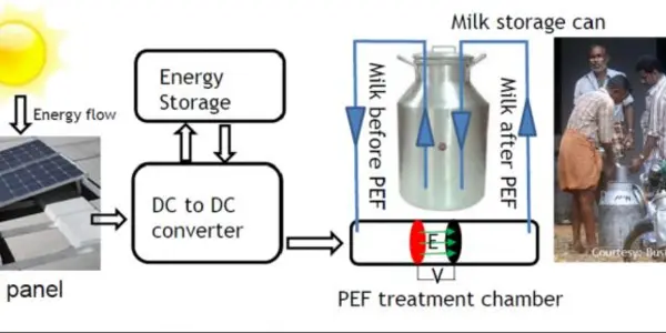 Pulsed Electric Fields - An Alternative To Thermal Pasteurization In Milk For Low-Income Countries