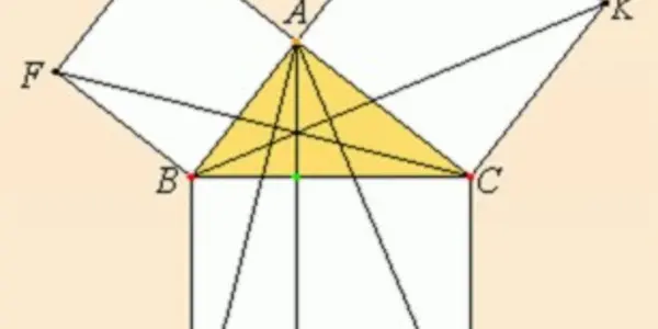 Mathematics For Amphibians