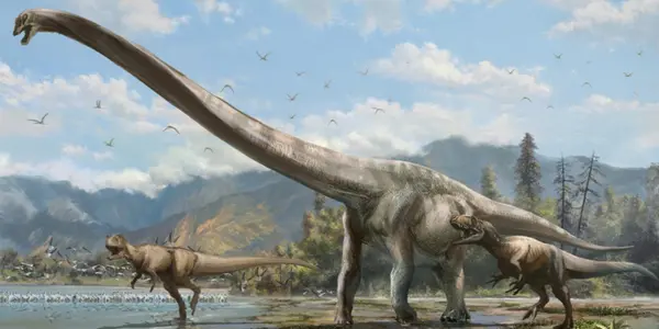 Qijianglong: Long-necked Dragon Roamed China 160 Million Years Ago