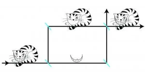 Quantum Cheshire Cat: Scientists Separate A Particle From Its 'Grin'