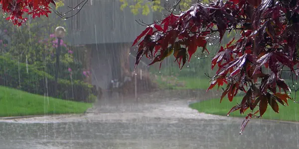 The Weather May be Frightful, But You Don't Have to be SAD this Winter