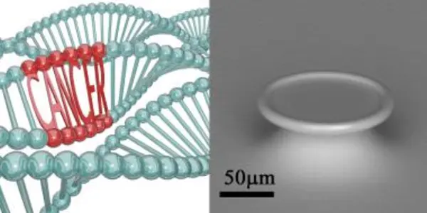 In Cancer, One Ring To Rule Them All