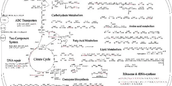 How Mitochondria Began - Parasitic Coevolution Gets A New Wrinkle