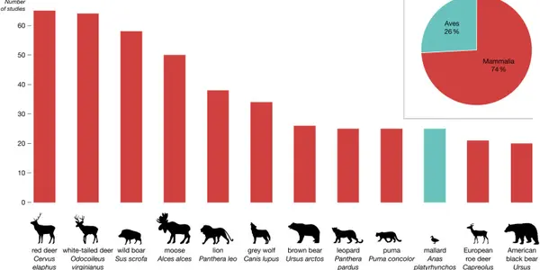 Trophy Hunting Delivers Environmental And Social Benefits, Finds Study