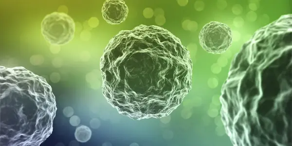 Infections Increase ICU Patient Risk Of Death By 35 Percent