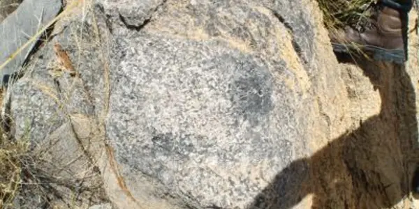 Cloudina: Animals Were Building Reefs 550 Million Years Ago