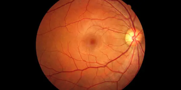 Your Eyes Are Wired Backwards: Here's Why
