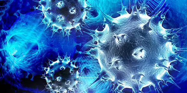 Retroviruses: Human Embryos May Be Affected By Ancient Viral Invaders