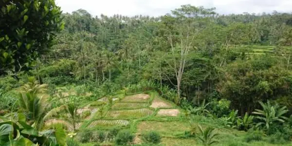ArchaeoGLOBE Project: If There Is An Anthropocene Epoch, It Started 4,000 Years Ago