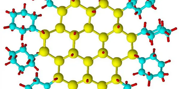 RM 8027: World's Smallest Reference Material