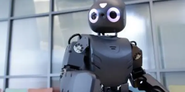 How To Help Kids With Cognitive Disabilities: Have Them Teach A Robot To Play Angry Birds