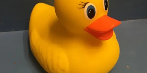 Are All Weight Loss Doctors Quacks?