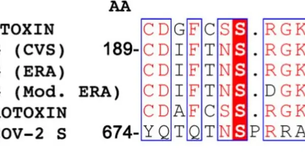 Does Nicotine Prevent COVID Transmission? France Might Begin Clinical Trials