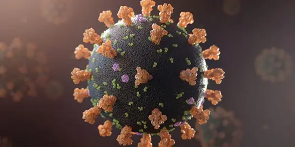 Despite COVID-19, The US CDC Remains Unprepared For Zoonotic Diseases