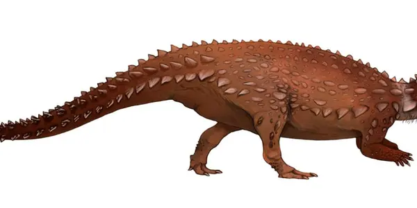 The Dinosaurs Of Ireland