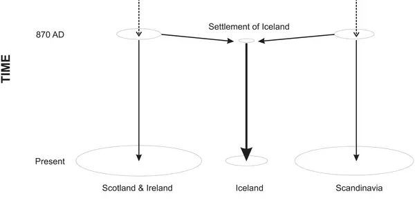 Genetic Snapshot Of Iceland 1000 Years Ago