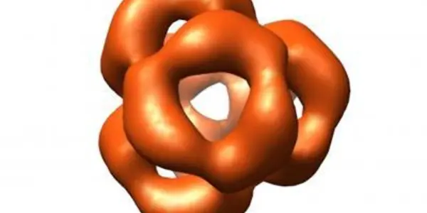 The protein structure that could prevent cataracts