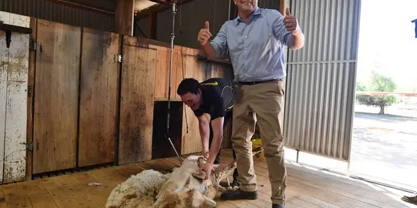 Australia Has Proposed A Bill To Protect Farmers From Activist Attacks - Will It Help?