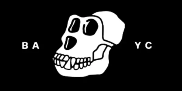NFTs Were Never Worth Real Money, And Bored Ape Yacht Club Is A Racist Meme of Memes.