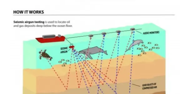 Obama Administration Criticized For Seismic Airgun Blasting In The Atlantic