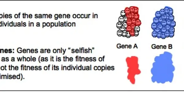 Selfish Gene Confusion And Its Interdisciplinary Roots
