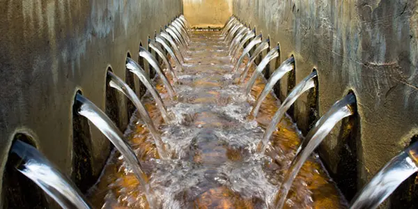 Obesity Rates Can Be Determined By Analyzing Sewage