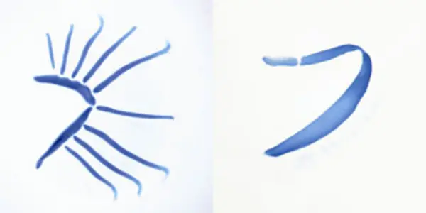 Evolution Of Fins And Limbs Linked To Gills