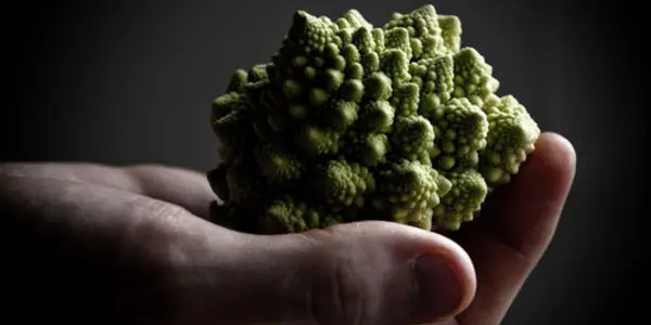 Emergence: The Remarkable Simplicity Of Complexity