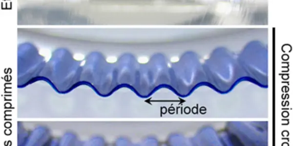 Rigid Membranes And How Folded Structures Form