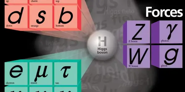 How Elementary Particles Die