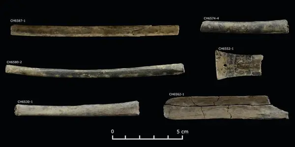 Opiate Of The Masses: Ancient Andes Used Hallucinogens To Keep People Positive
