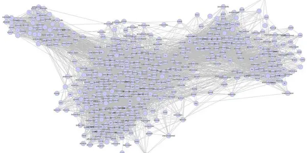 Smoking, Obesity: Are 'non-communicable' Diseases Socially Infectious?