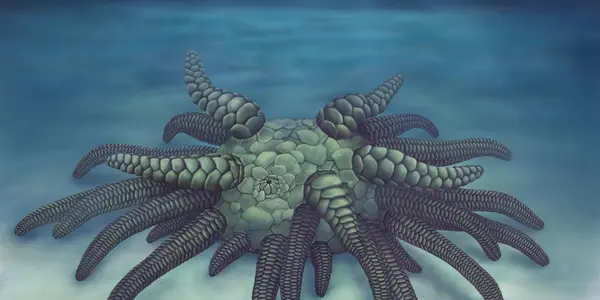 All Hail Cthulhu - And Its 45 Tentacles