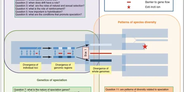 Questions About Speciation