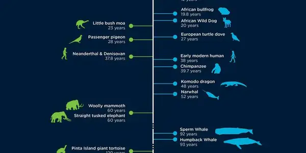 Humans Have A “Natural” Lifespan Of 38 Years