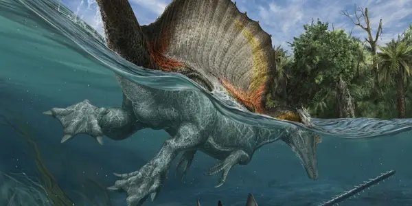 Spinosaurus: The First Semi-Aquatic Dinosaur