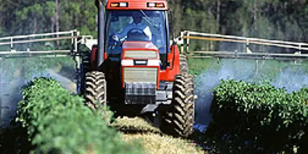 When Increased Pesticide Use Is A Good Thing